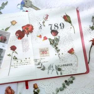 florescence vendor creative boxed clear transparent 7