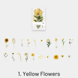 florescence vendor creative boxed clear transparent 9