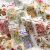 Flower and Plant Clear Transparent Stickers - Mushroom, Herb, Tulip, Daisy