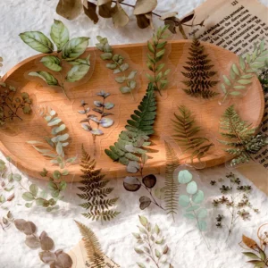 flower and plant clear transparent stickers 6