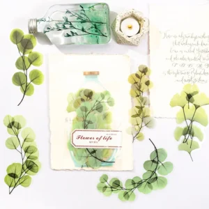 flower of life series plant clear 8