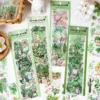 Fresh Greenery Clear Transparent Stickers - Fruit, Leaf, Cactus, Plant