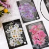 Glimmer of Light Refreshing Plant Clear Transparent Sticker Pack