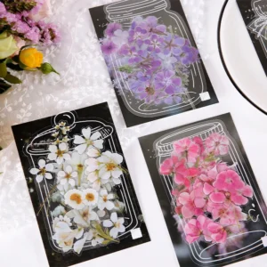 Glimmer of Light Refreshing Plant Clear Transparent Sticker Pack