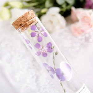 glimmer of light refreshing plant clear 5