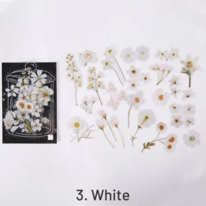 glimmer of light refreshing plant clear 9