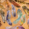 Glitter Feather Large Size Foil Stamping Feather Clear Transparent Sticker