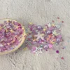 Star Sequins Pearls Embellishments