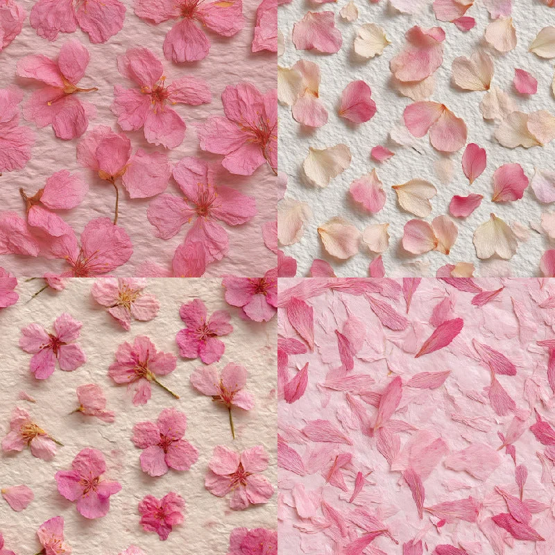 24pcs 6 Grace Scrapbook Paper Cardstock 2 05 24pcs 6 Grace Scrapbook Paper Cardstock 2 05