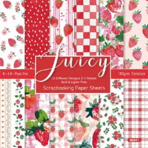 24pcs 6 Juicy Scrapbook Paper Cardstock 00