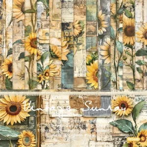 24pcs 6 Sunflower Scrapbook Paper Cardstock 00