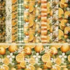 24pcs 6 Sunny Pulp Scrapbook Paper Cardstock 00