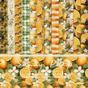 24pcs 6 Sunny Pulp Scrapbook Paper Cardstock 00