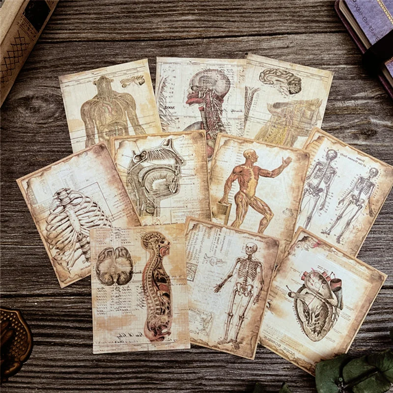 Dark-Human-Anatomy-Junk-Journal-Paper-img1 Dark Human Anatomy Junk Journal Paper - Image 1 - Sumflying Craft