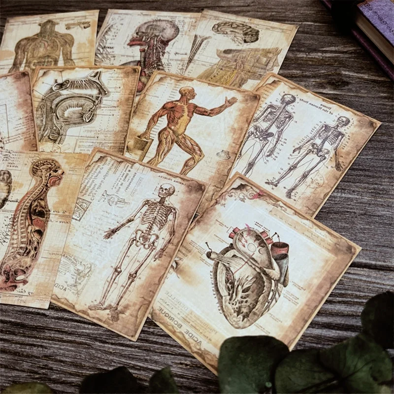 Dark-Human-Anatomy-Junk-Journal-Paper-img2 Dark Human Anatomy Junk Journal Paper - Image 2 - Sumflying Craft