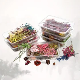 Decorative Boxed Dried Preserved Flowers