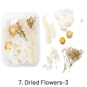 Decorative Boxed Dried Preserved Flowers - Image 10 - Sumflying Craft