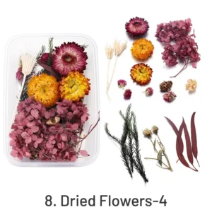 Decorative Boxed Dried Preserved Flowers - Image 11 - Sumflying Craft