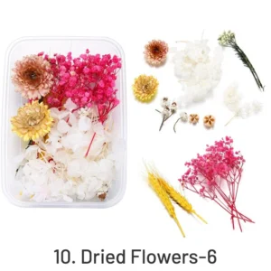 Decorative Boxed Dried Preserved Flowers - Image 13 - Sumflying Craft