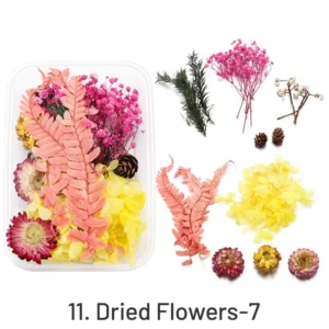 Decorative Boxed Dried Preserved Flowers - Image 14 - Sumflying Craft