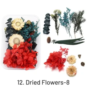 Decorative Boxed Dried Preserved Flowers - Image 15 - Sumflying Craft