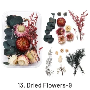 Decorative Boxed Dried Preserved Flowers - Image 16 - Sumflying Craft