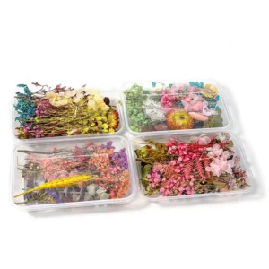 Decorative Boxed Dried Preserved Flowers - Image 2 - Sumflying Craft