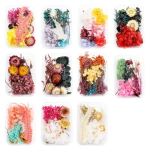 Decorative Boxed Dried Preserved Flowers - Image 3 - Sumflying Craft