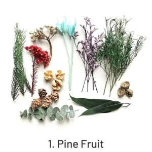 Decorative Boxed Dried Preserved Flowers - Image 4 - Sumflying Craft