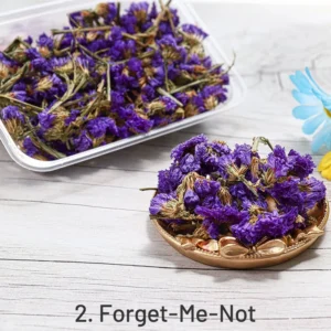 Decorative Boxed Dried Preserved Flowers - Image 5 - Sumflying Craft