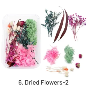 Decorative Boxed Dried Preserved Flowers - Image 9 - Sumflying Craft