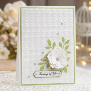 EM374 Gingham Check Card 02 1