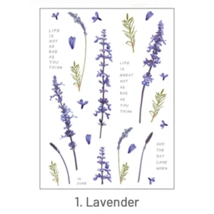 Romantic Translucent Plant Clear Transparent Sticker Romantic Translucent Plant Clear Transparent Sticker 5
