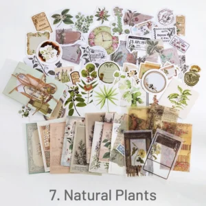 Vintage Assorted Material Sticker Pack - Travel, Butterfly, Mushroom, Astrology, Plant, Bill, Poster, Antique Vintage Assorted Material Sticker Pack Travel Butterfly Mushroom Astrology 1 1