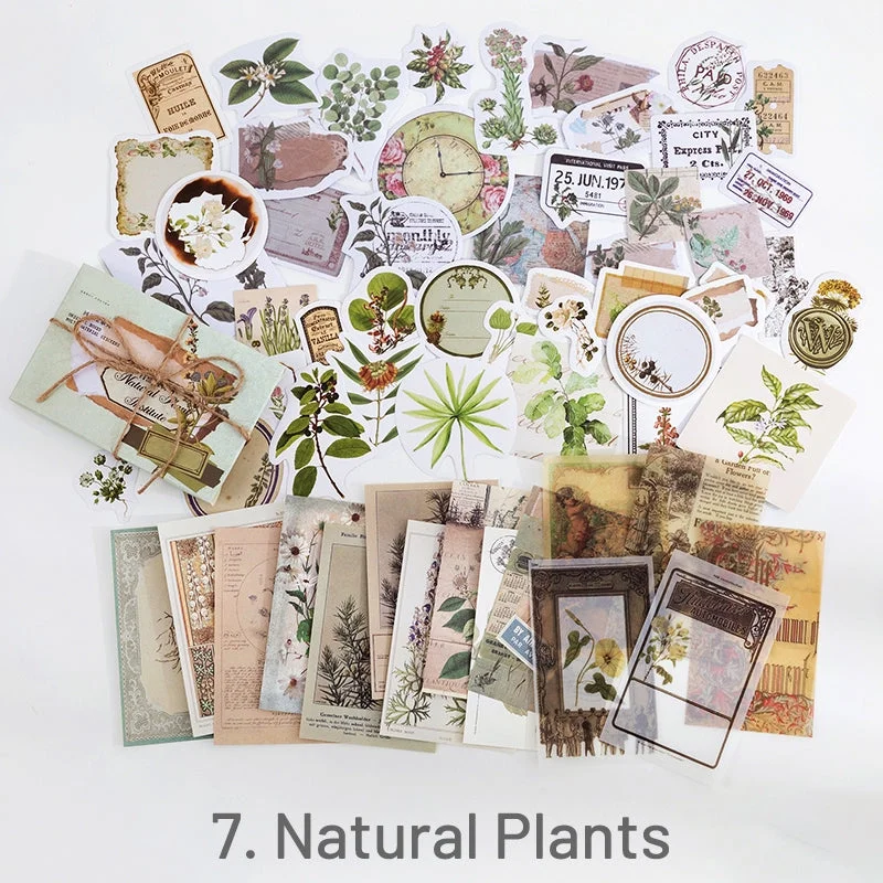 Vintage Assorted Material Sticker Pack Travel Butterfly Mushroom Astrology 1 1 Vintage Assorted Material Sticker Pack Travel Butterfly Mushroom Astrology 1 1