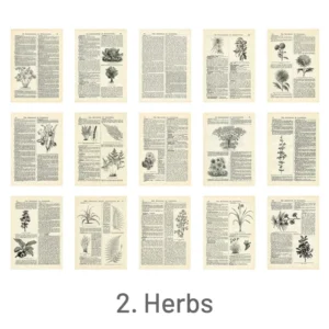 Vintage Old Book Pages Text Scrapbook Paper Vintage Old Book Pages Text Scrapbook Paper 6