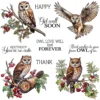 Animal Owl Clear Stamps 00