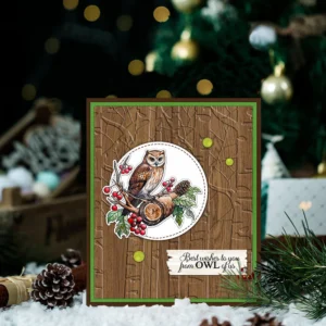 Animal Owl Clear Stamps 01