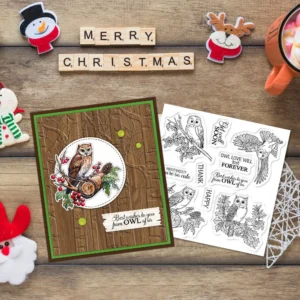 Animal Owl Clear Stamps 04