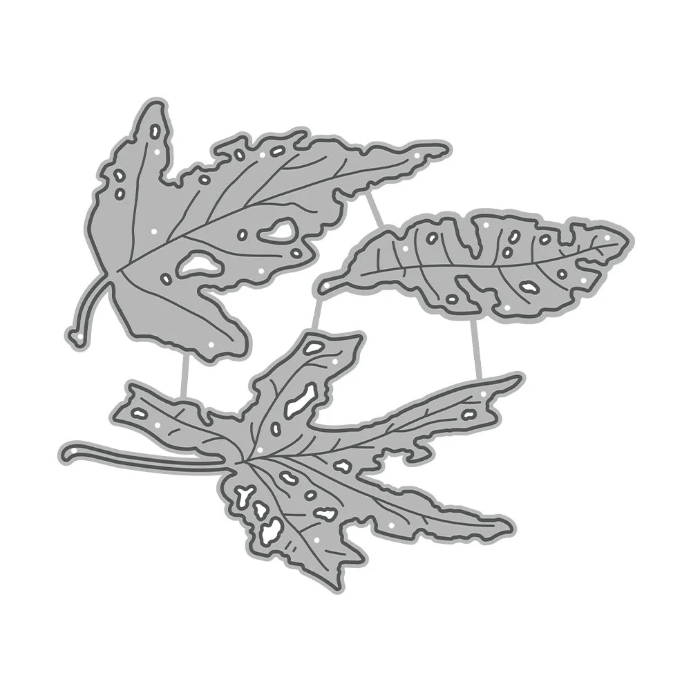 Autumn Leaves Metal Cutting Dies 05 Autumn Leaves Metal Cutting Dies 05