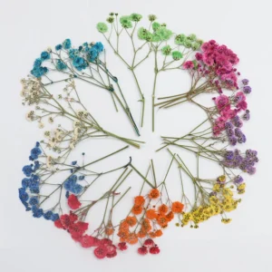 Sumflying Babys Breath DIY Dried Flower Material Pack - image 8