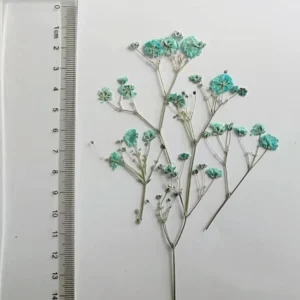Sumflying Babys Breath DIY Dried Flower Material Pack - image 10