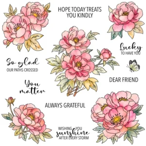 Beautiful Hibiscus Flowers Clear Stamps 01