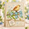 Bird On Branch Card Realistic 01