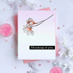 Birthday Thanking Stamp Set - detail view | clear stamp