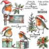 Christmas Birds Clear Stamps 1 00