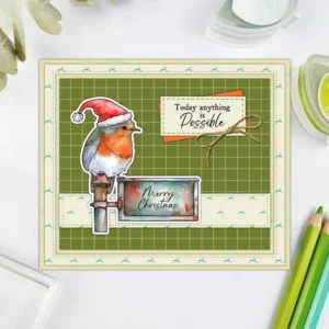 Christmas Birds Clear Stamps 1 03