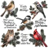 Christmas Birds Clear Stamps 2 00