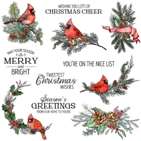 Sumflying Christmas Birds Snowflake Branch Clear Stamps