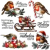 Christmas Birds Clear Stamps 5 00